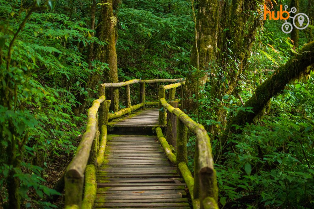 The stunningly beautiful Angkha Nature Trail