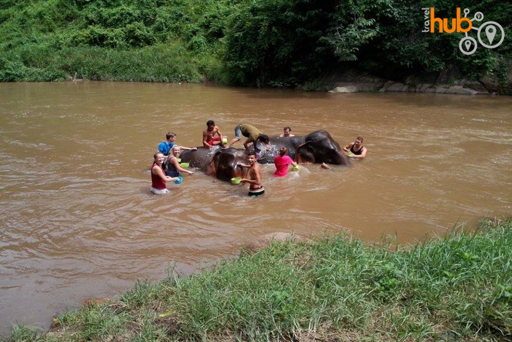 You will spend the morning with some very well cared for elephants