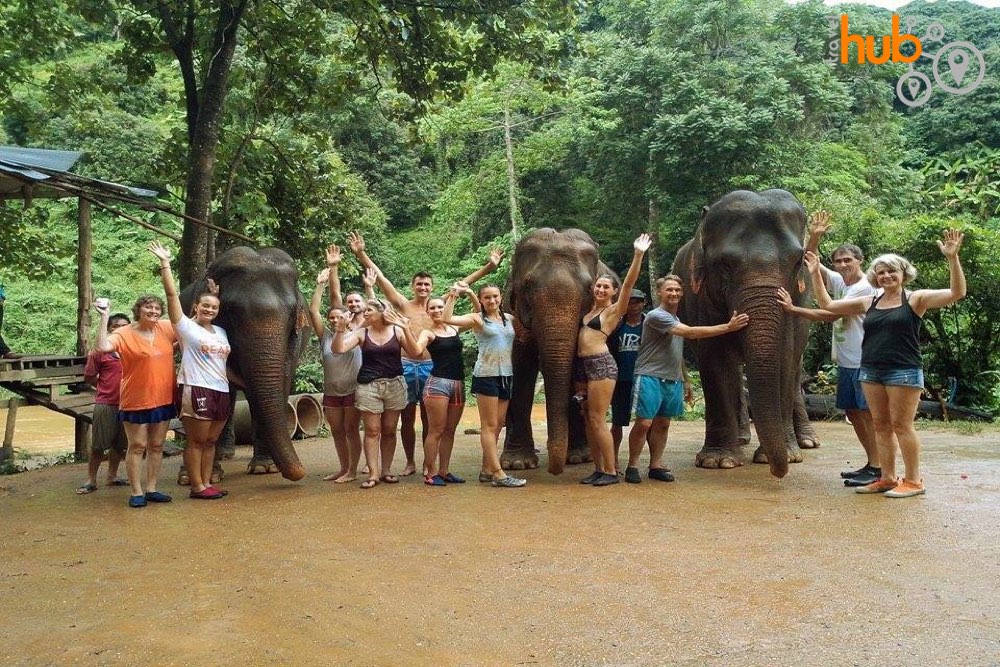 Say good bye to the elephants before the trek