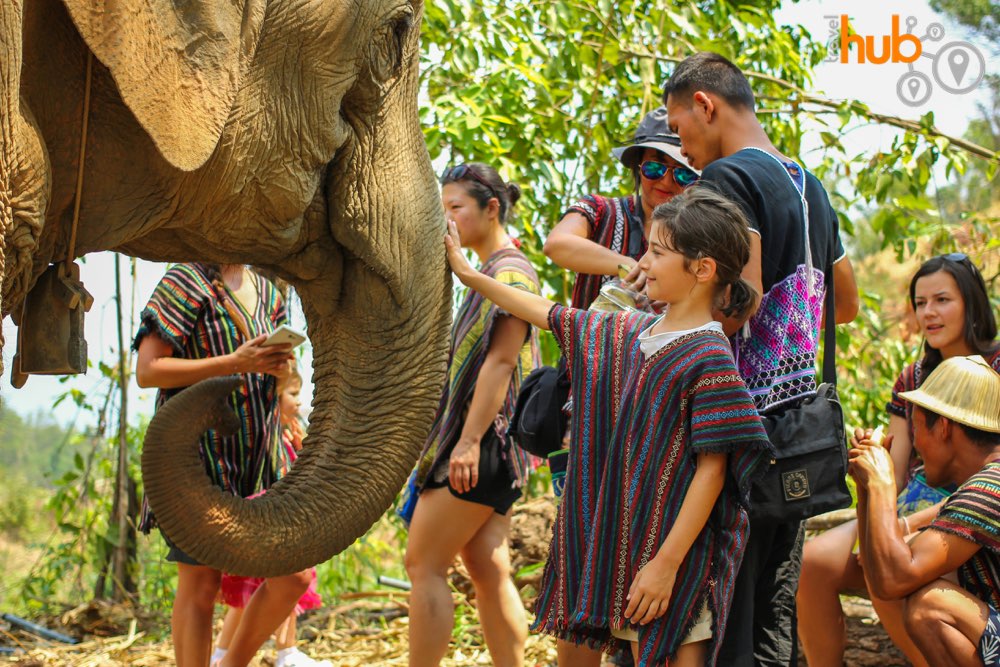 Plenty of interaction allowed at The Elephant Jungle Sanctuary