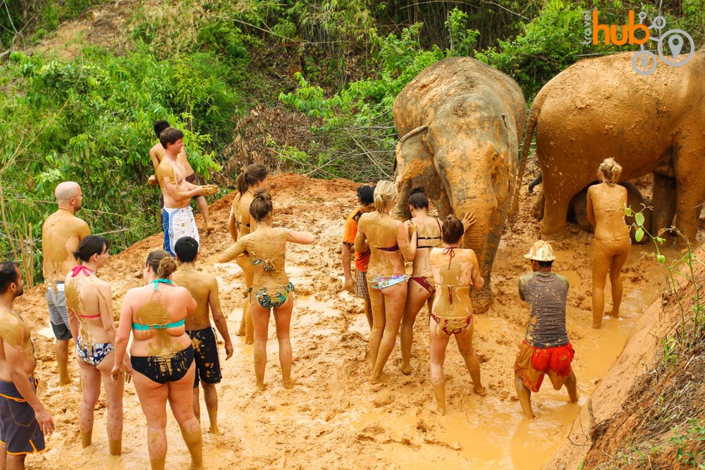 Get involved with the elephants bath time